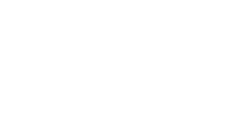 Stillman & Birn White Logo