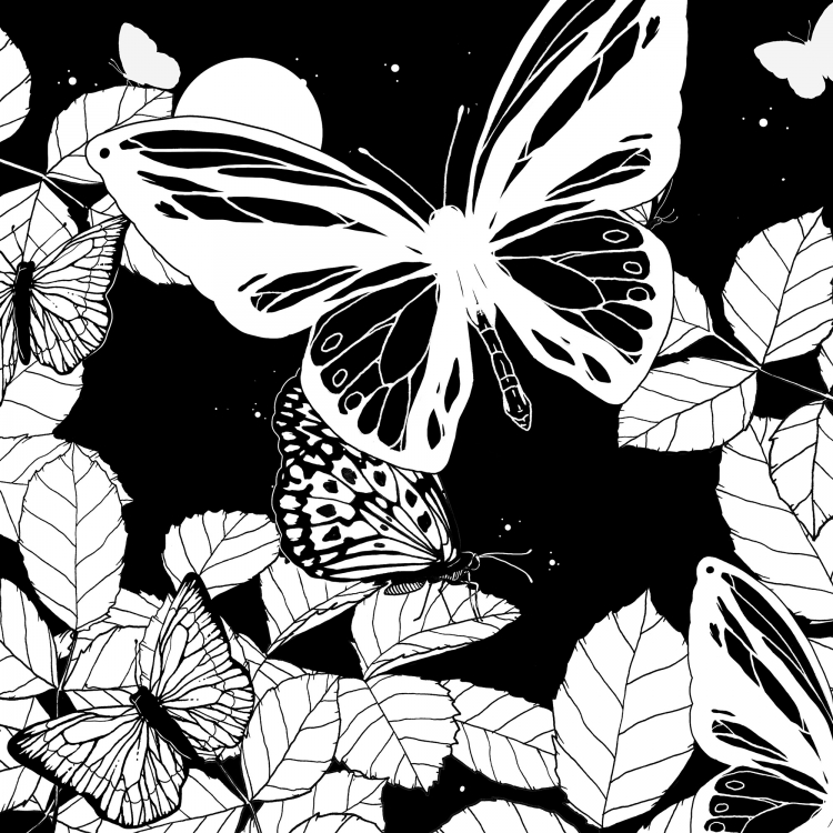 97507 Coloring Square Books for Adults - Butterfly (detail 2)