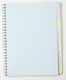 Clairefontaine Wirebound Multiple Subjects Notebook - Interior