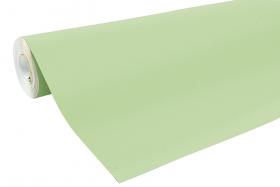 95721 Clairefontaine Kraft Papers - Light Green