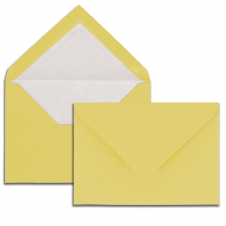 214/19 G. Lalo Verge de France Envelopes - Yellow