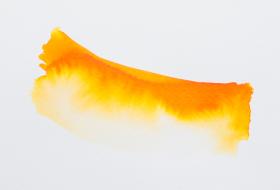 16120T_Orange_swatch