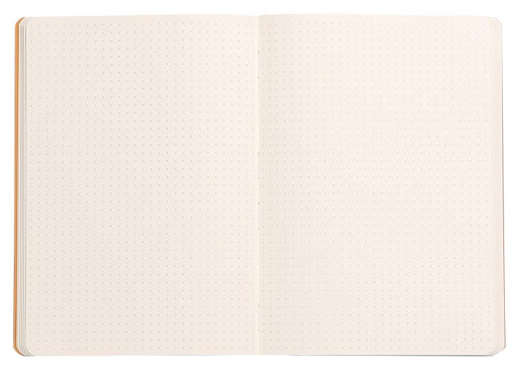 1174/ Rhodiarama Notebooks - Dots Sheets