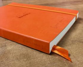 Rhodia_Rhodiarama_SoftCover_Goalbook_Tangerine_1