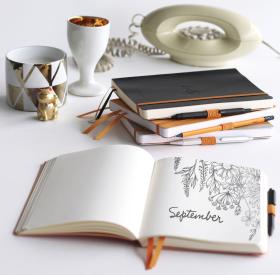 Rhodia_Rhodiarama_Softcover_Goalbook_Group_2