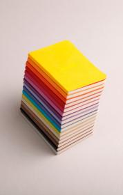 Rhodia_Rhodiarama_Softcover_Webnotebook_Group_3