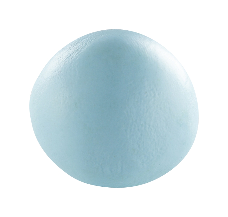 CE0900056211C_det
