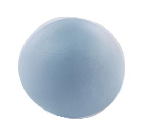 CE0900056259-2025_det
