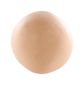 CE0900056423C_det