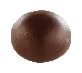 CE0900056800C_det
