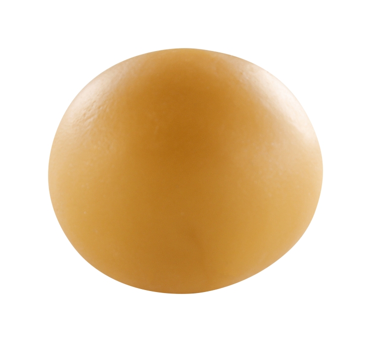 CE0880056815C_det