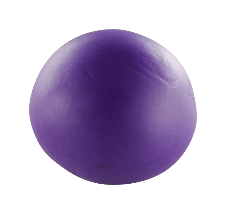 CE0880056900C_det