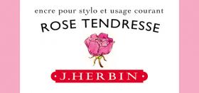 13061T Rose Tendresse 