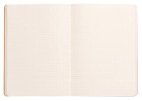 1174/ Rhodiarama Notebooks - Dots Sheets