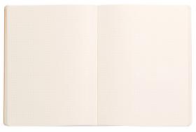 1175/ Rhodiarama Softcover Notebooks - Dot Grid