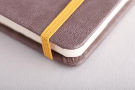 Rhodia Rhodiarama Hardcover Notebooks Elstic Band Detail