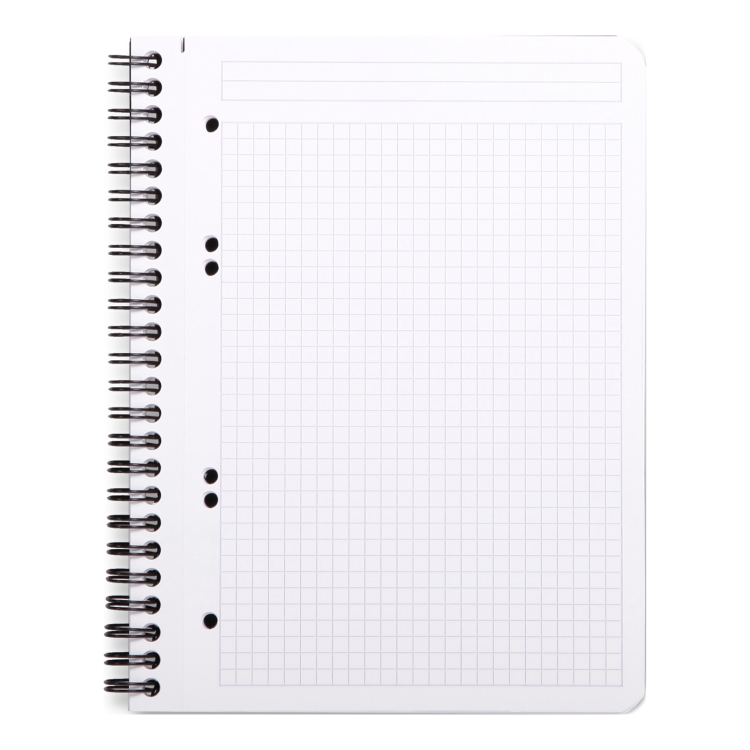 119913C_Greenbook_paper