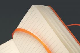 Ribbon Marker Detail - Orange
